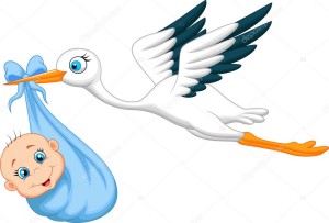 depositphotos_33880381-stock-illustration-stork-with-baby.jpg